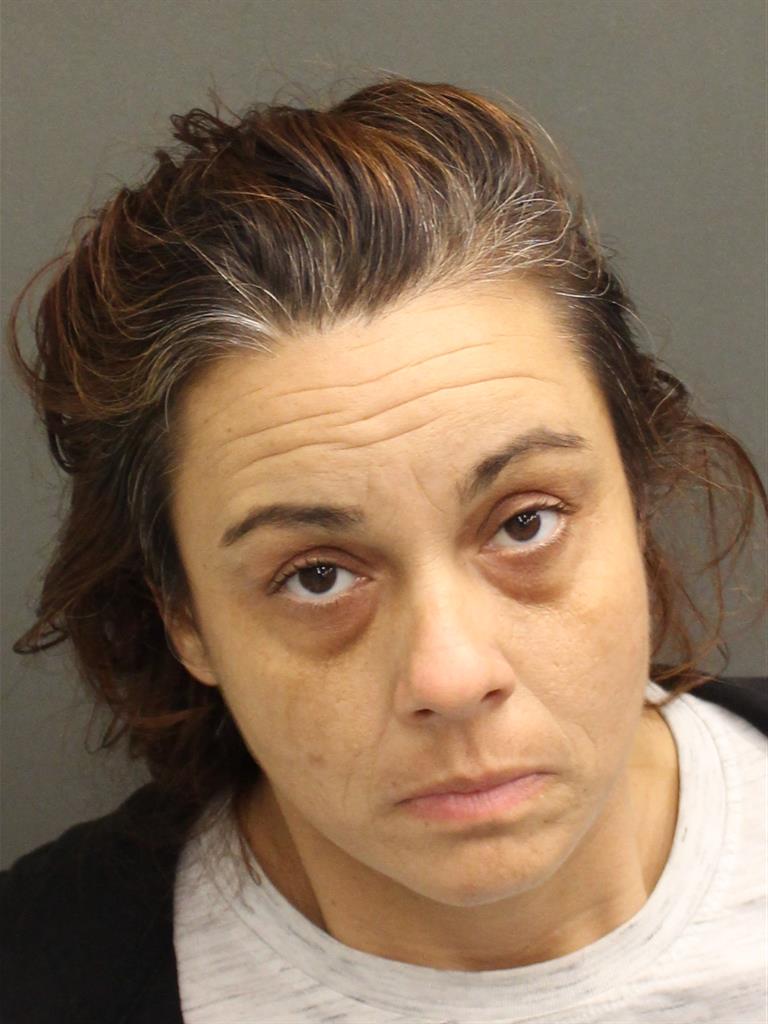  CHRISTINA ANN SANSEVERINO Mugshot / County Arrests / Orange County Arrests