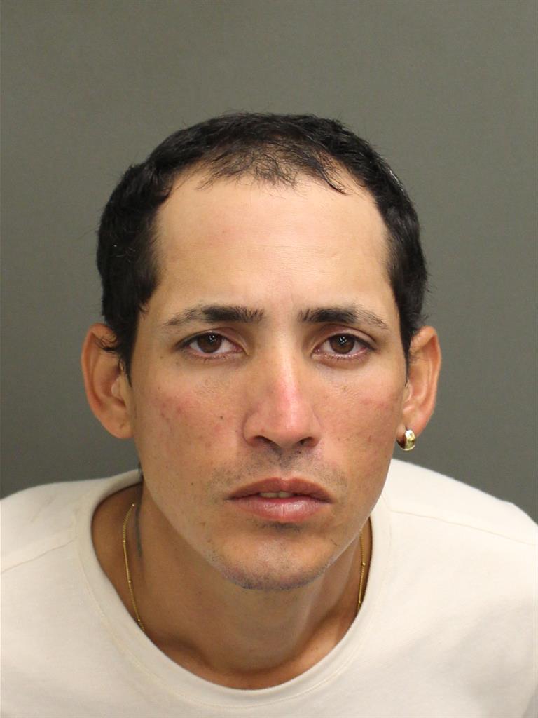  ALAIN SOBRINOLEON Mugshot / County Arrests / Orange County Arrests