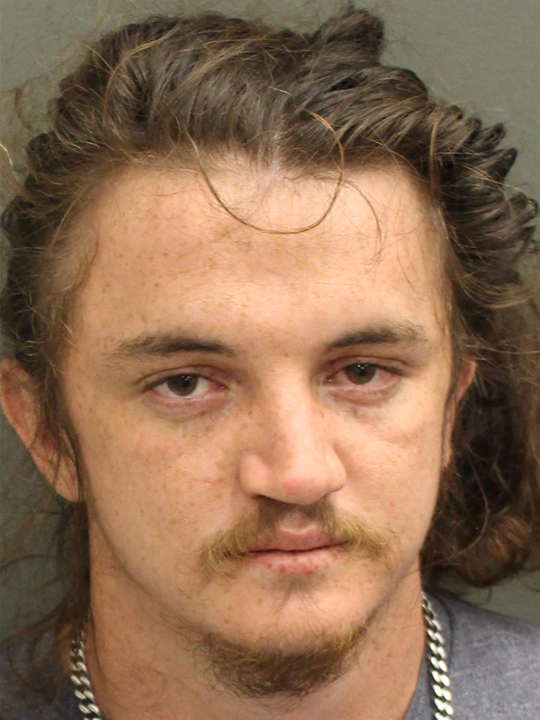  WILLIAM WALLACE IRELAND Mugshot / County Arrests / Orange County Arrests