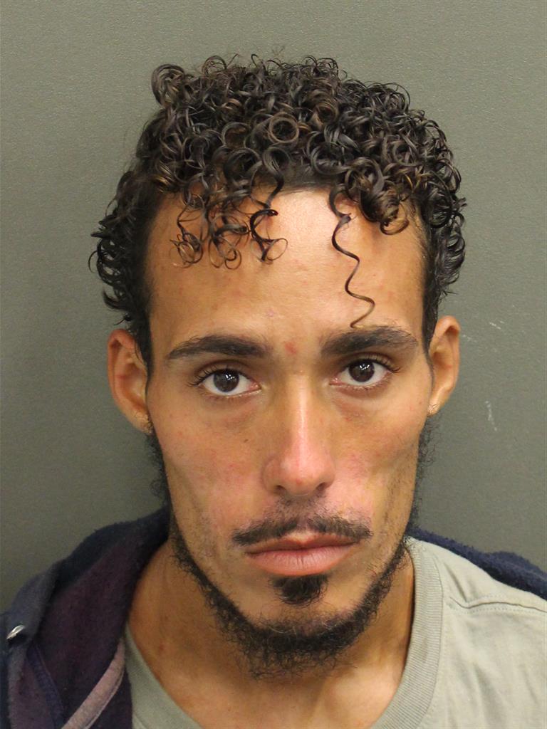  JAMES MICHAEL SORELLI Mugshot / County Arrests / Orange County Arrests