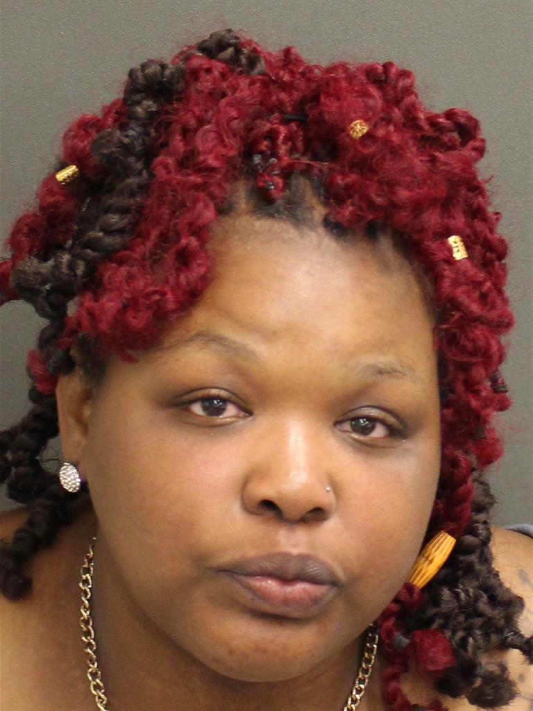  SYLVIA LORETTA MINCEY Mugshot / County Arrests / Orange County Arrests