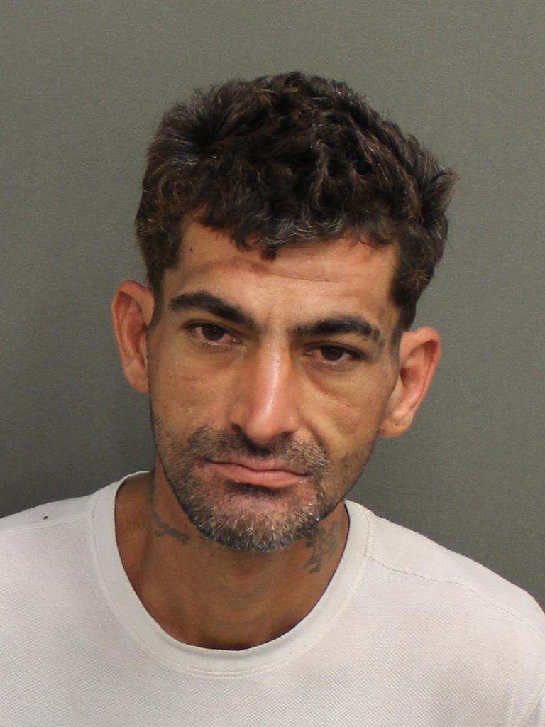  CHRISTOPHER DOUGLAS LYNN Mugshot / County Arrests / Orange County Arrests