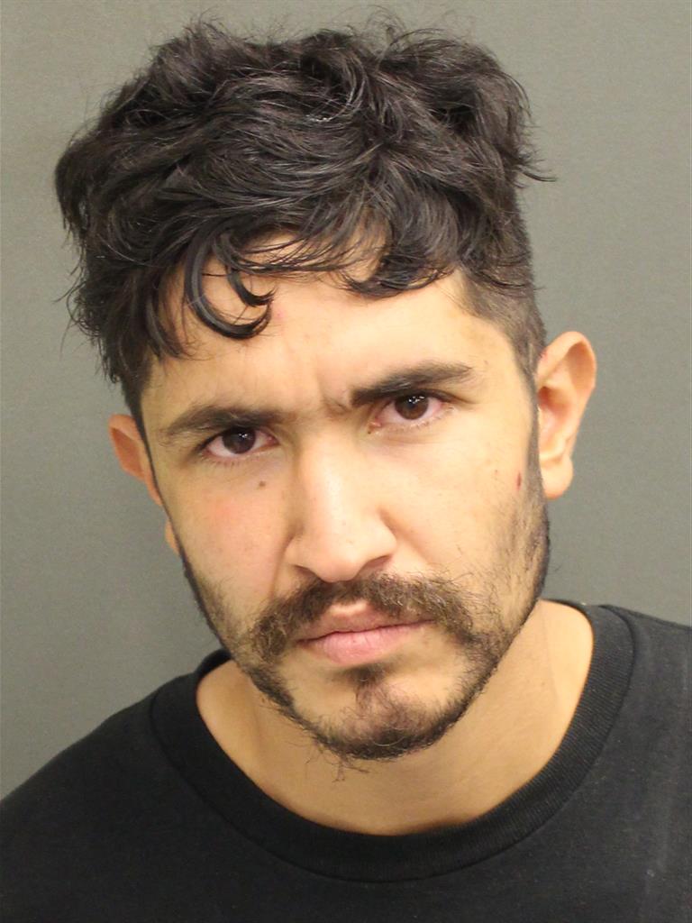  RICARDO CHANG Mugshot / County Arrests / Orange County Arrests