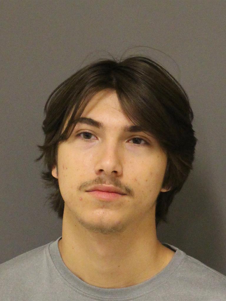  ALEXANDER SAMUEL LEWIS Mugshot / County Arrests / Orange County Arrests