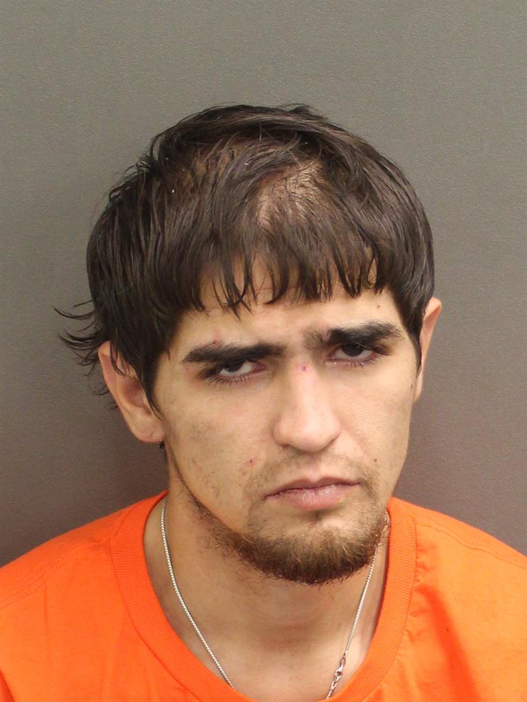  ISRAEL DAVID SWANSON Mugshot / County Arrests / Orange County Arrests