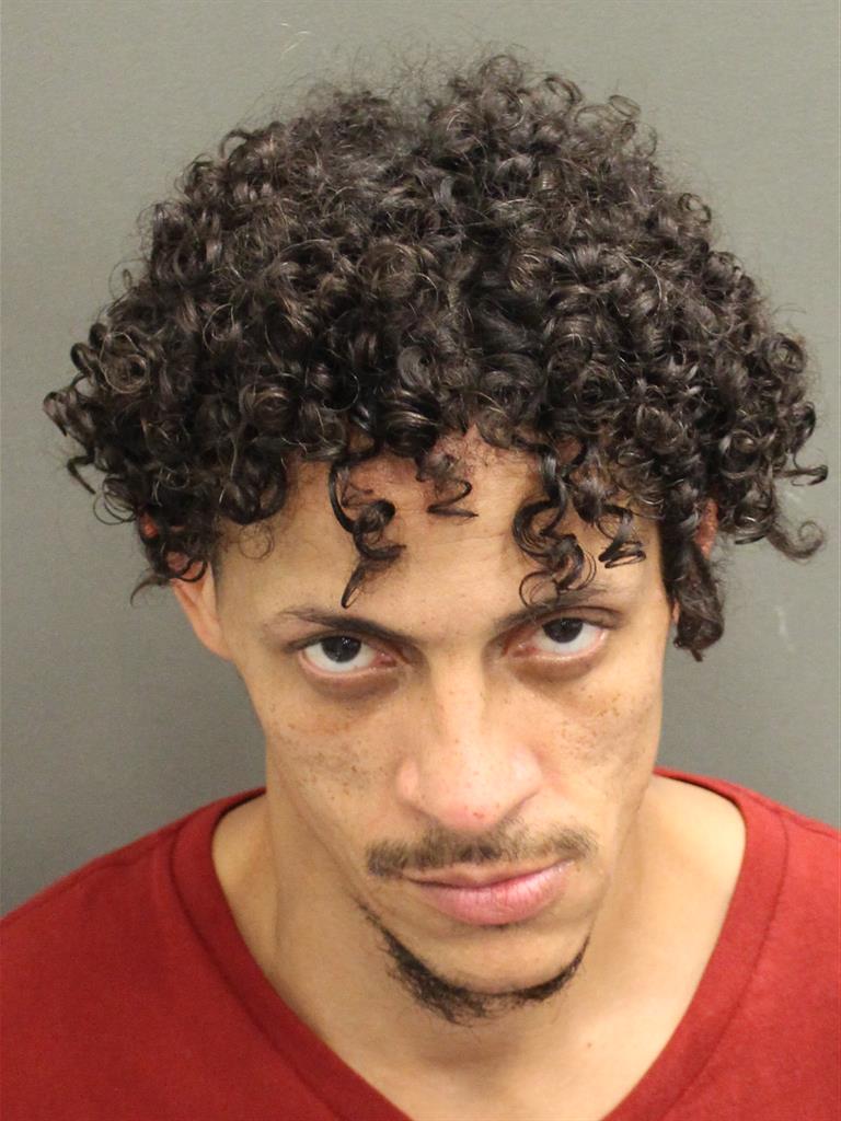  LUIS  JR ROSAS Mugshot / County Arrests / Orange County Arrests
