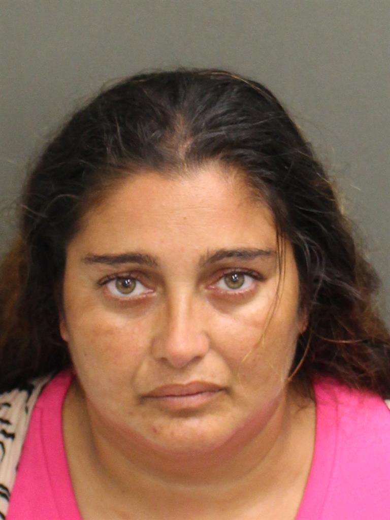  LUMINITA STEFAN Mugshot / County Arrests / Orange County Arrests