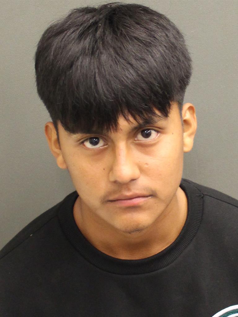  ALAN LOPEZDOMINGO Mugshot / County Arrests / Orange County Arrests