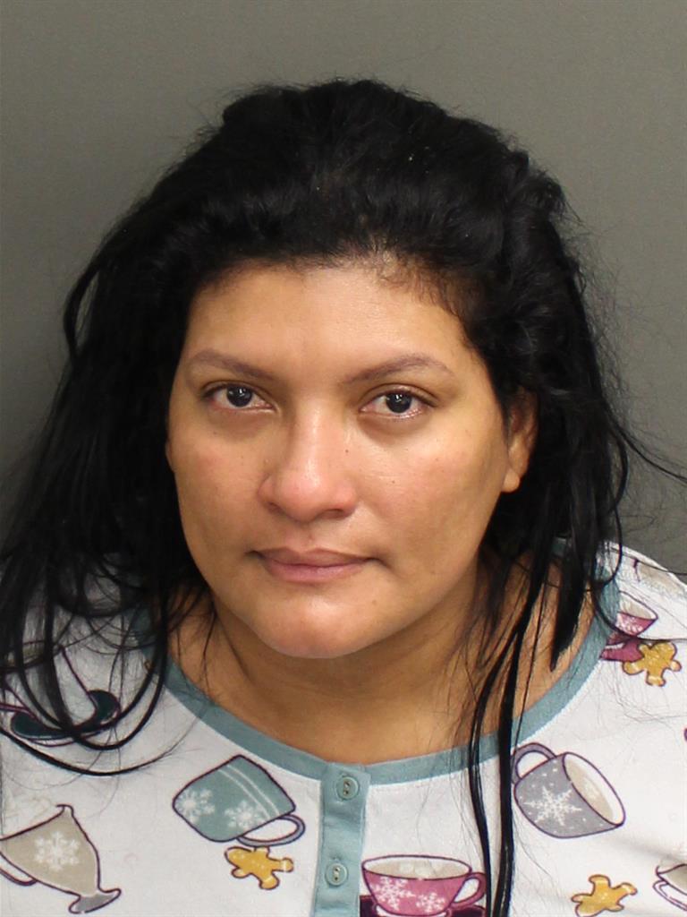  LEIDYS PAMELA GOMEZUSUGA Mugshot / County Arrests / Orange County Arrests