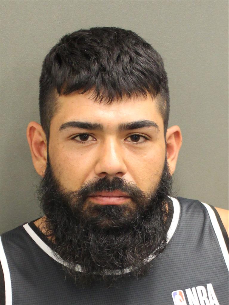 HECTOR MARIO ALANISFLORES Mugshot / County Arrests / Orange County Arrests