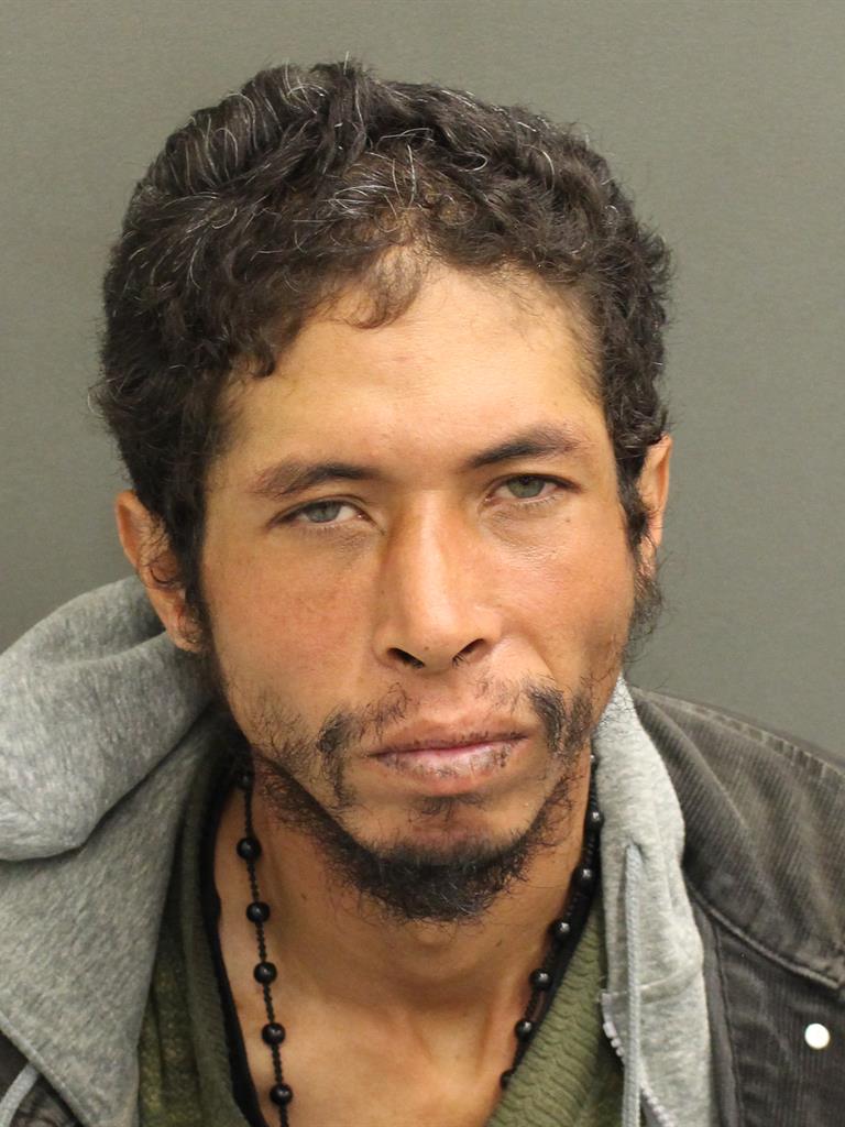  NEIL WAGNER ARCE Mugshot / County Arrests / Orange County Arrests