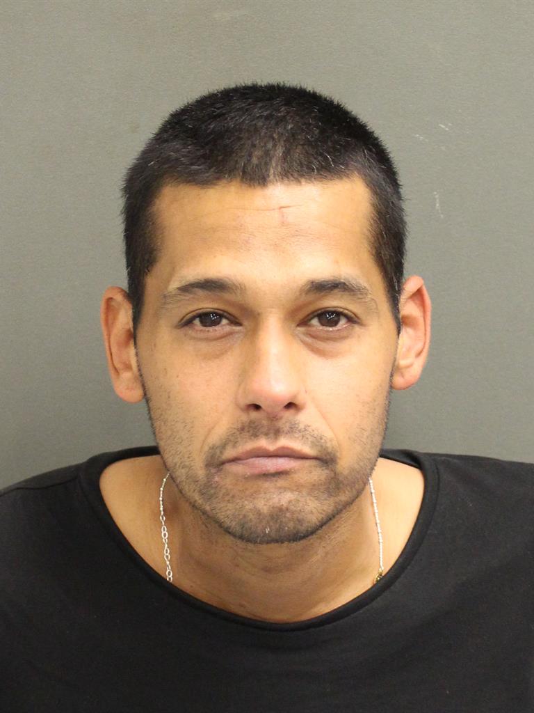  BRANDON REYESLABRADOR Mugshot / County Arrests / Orange County Arrests