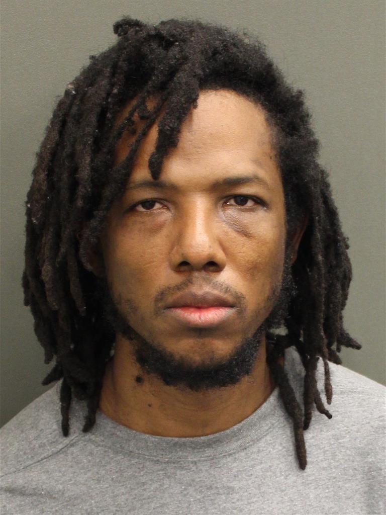  RAY DELIAN Mugshot / County Arrests / Orange County Arrests