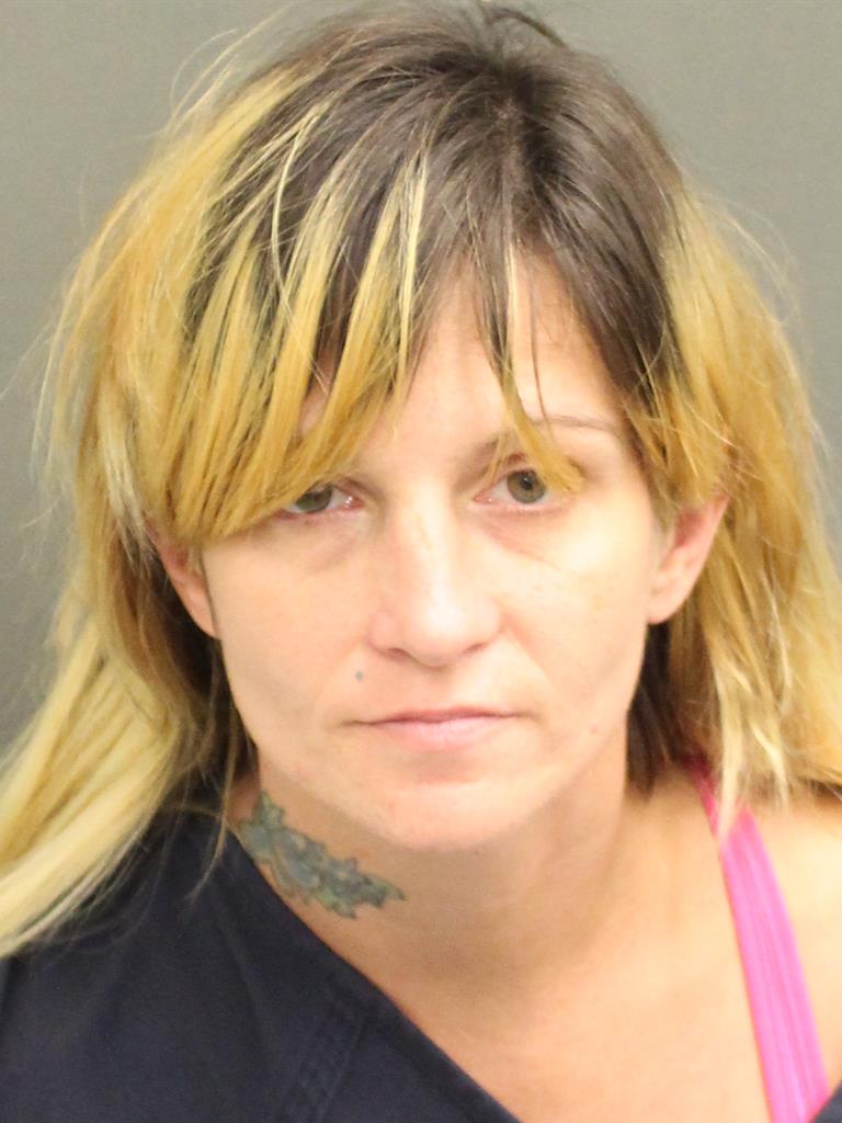  ERIN BRASFIELD Mugshot / County Arrests / Orange County Arrests