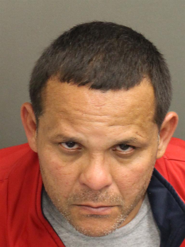  LUIS ENRIQUE TORRESVEGA Mugshot / County Arrests / Orange County Arrests