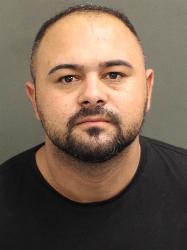  DAVID ALEXANDRU Mugshot / County Arrests / Orange County Arrests