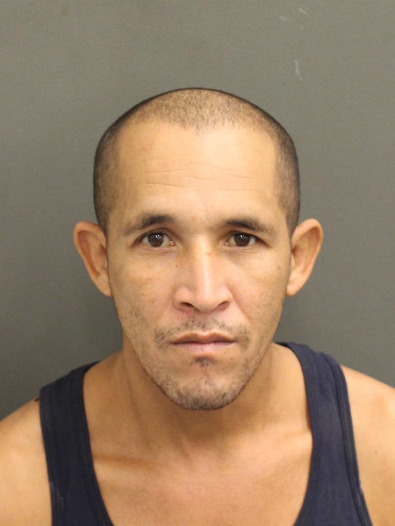 ARISLEYDER REINA TORNES Mugshot ARISLEYDER REINA TORNES Mugshot / County Arrests / Orange County Arrests