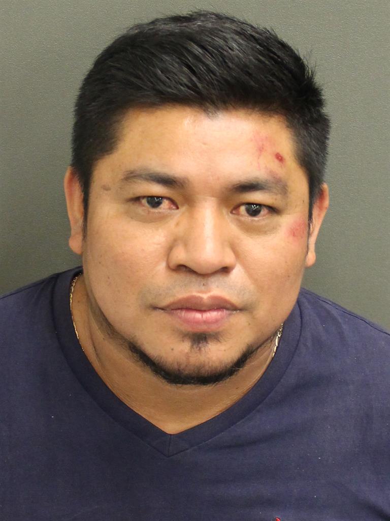  ALFREDO FELIPEGARCIA Mugshot / County Arrests / Orange County Arrests