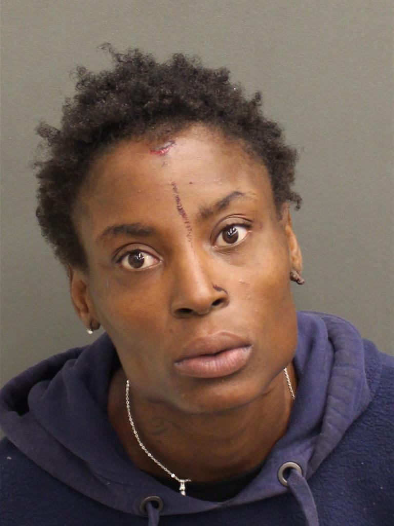  TINA WILLIAMS Mugshot / County Arrests / Orange County Arrests