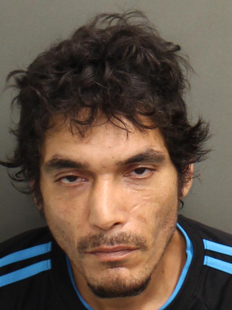  JOSHUA MARTIN Mugshot / County Arrests / Orange County Arrests