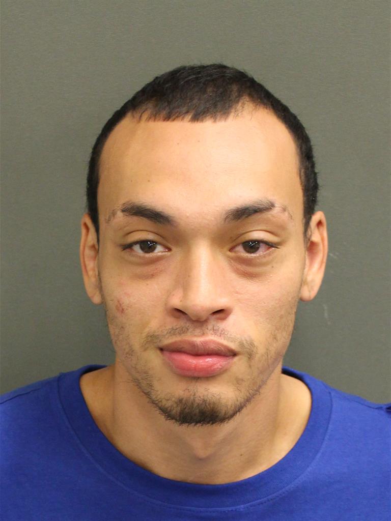  GIOVANNI ALEXIS CAPELLAN Mugshot / County Arrests / Orange County Arrests