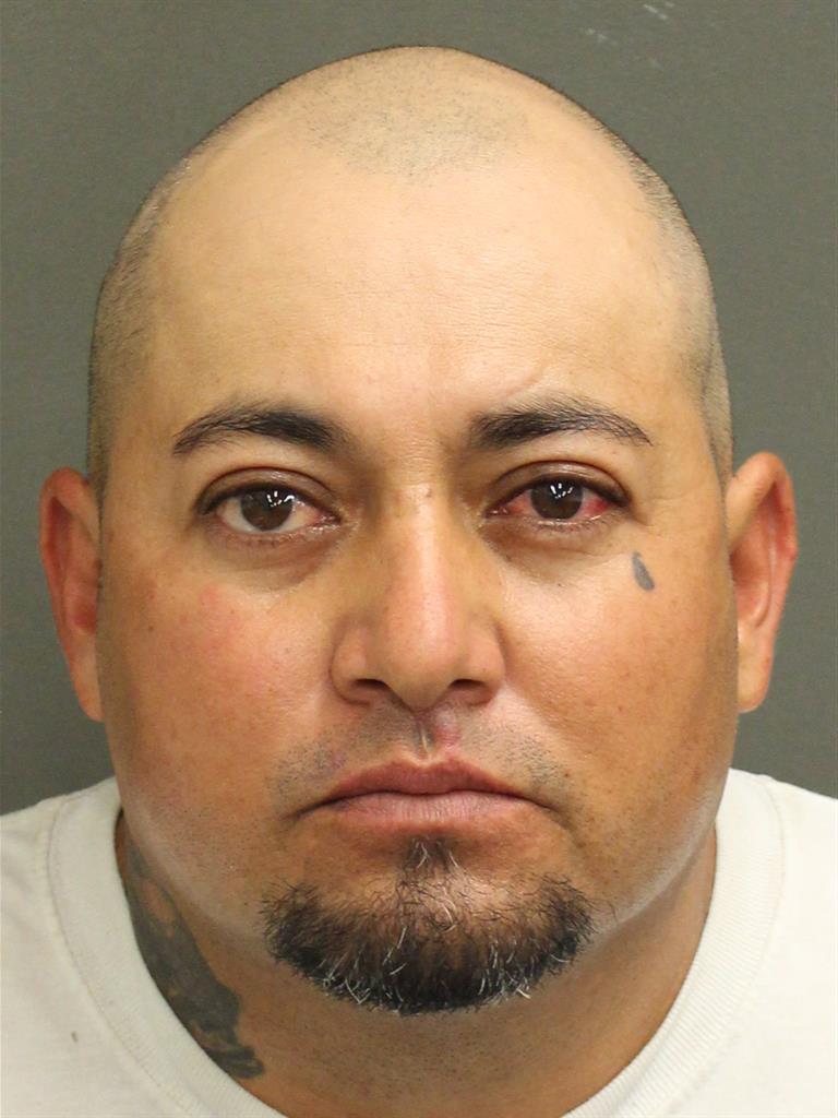  CELERINO ORTEGA Mugshot / County Arrests / Orange County Arrests