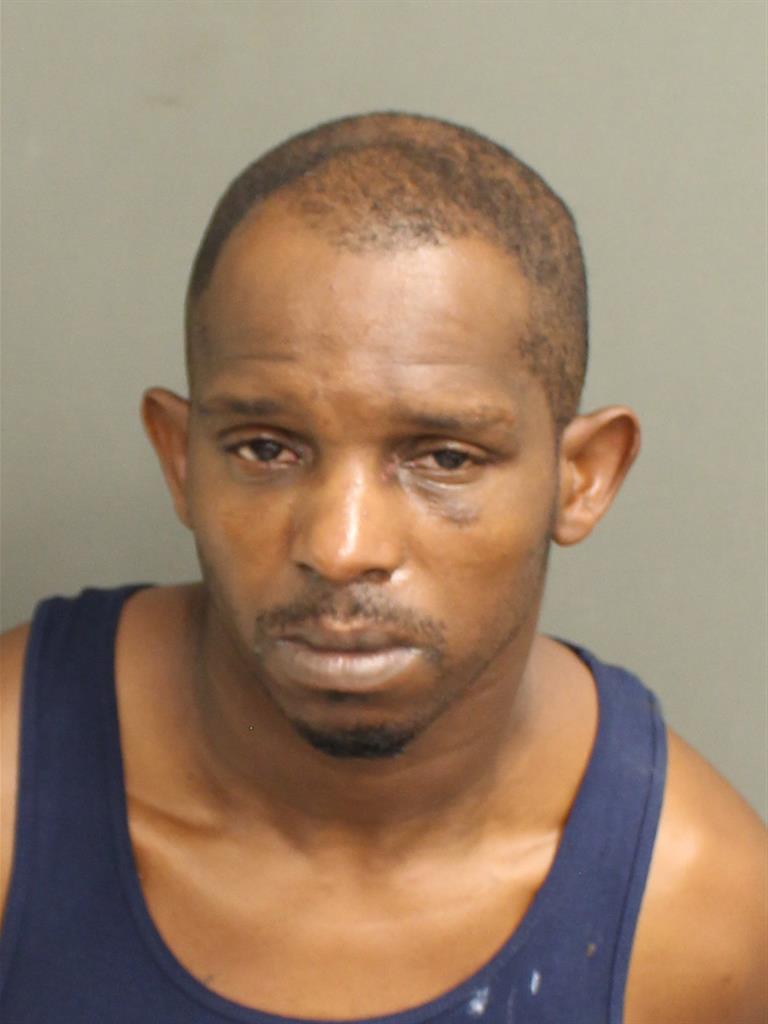  ANTHONY HODGES Mugshot / County Arrests / Orange County Arrests