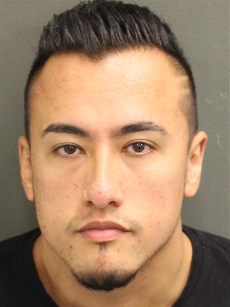  DANIEL A GARCIAHINCAPIE Mugshot / County Arrests / Orange County Arrests