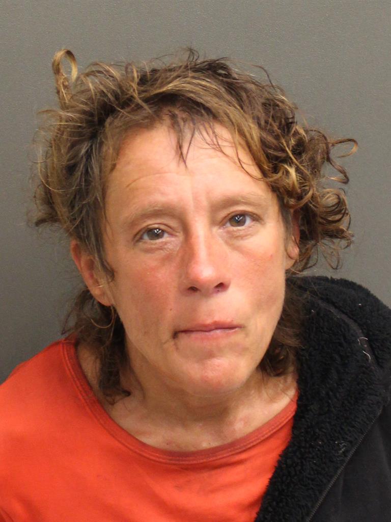  ANDREA MARIE FERGUSON Mugshot / County Arrests / Orange County Arrests