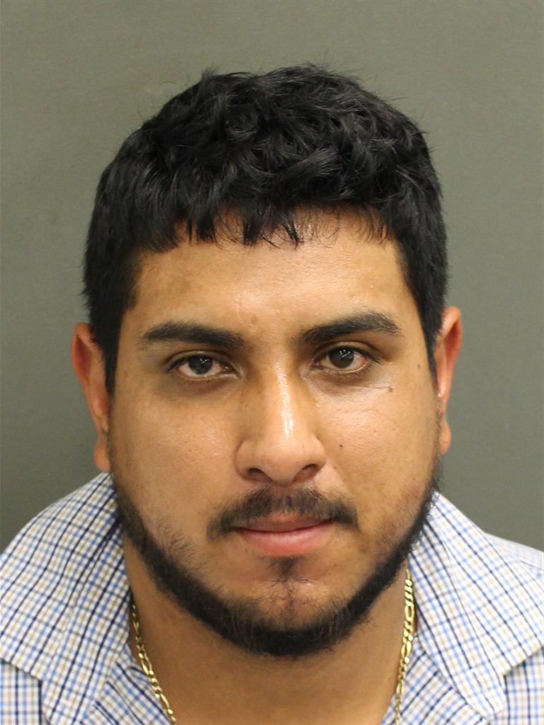  UBALDO VILLAVILLANUEVA Mugshot / County Arrests / Orange County Arrests