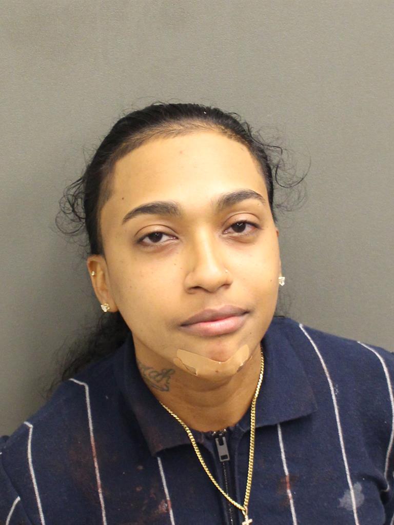  INDIRA IRENE POZO Mugshot / County Arrests / Orange County Arrests