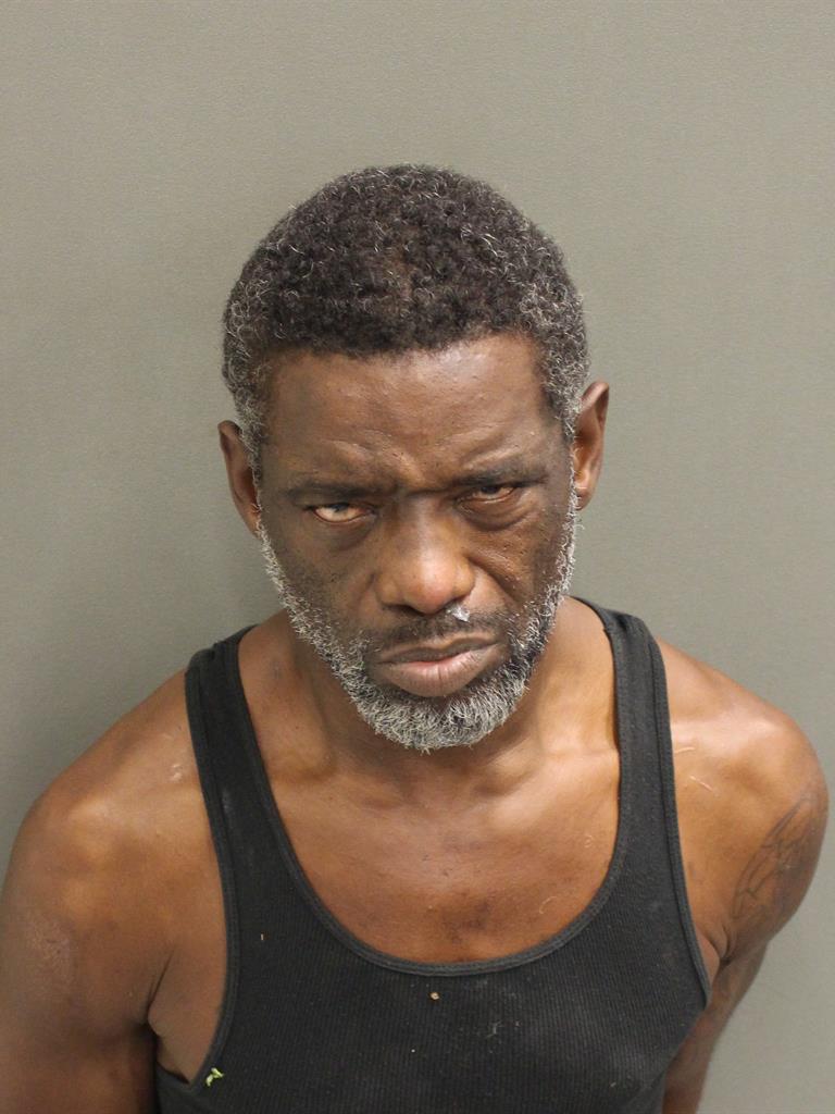  JAMIE LAVARDEZ COPELAND Mugshot / County Arrests / Orange County Arrests