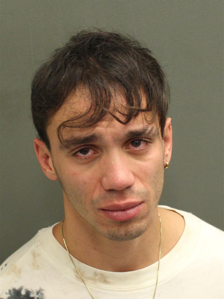  LUIS ALFREDO HERNANDEZLUGO Mugshot / County Arrests / Orange County Arrests