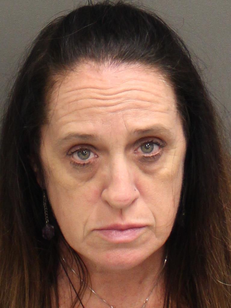  THERESE LOUISE KACIN Mugshot / County Arrests / Orange County Arrests