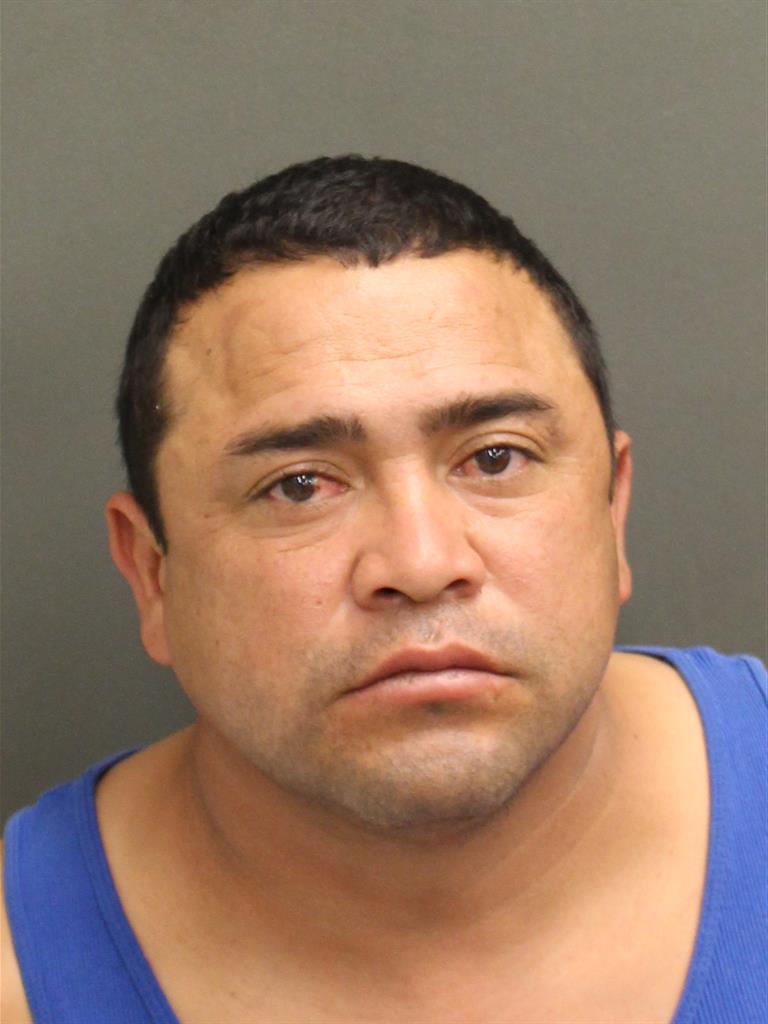  MELVIN ALEXANDERCALIXSALAZA Mugshot / County Arrests / Orange County Arrests