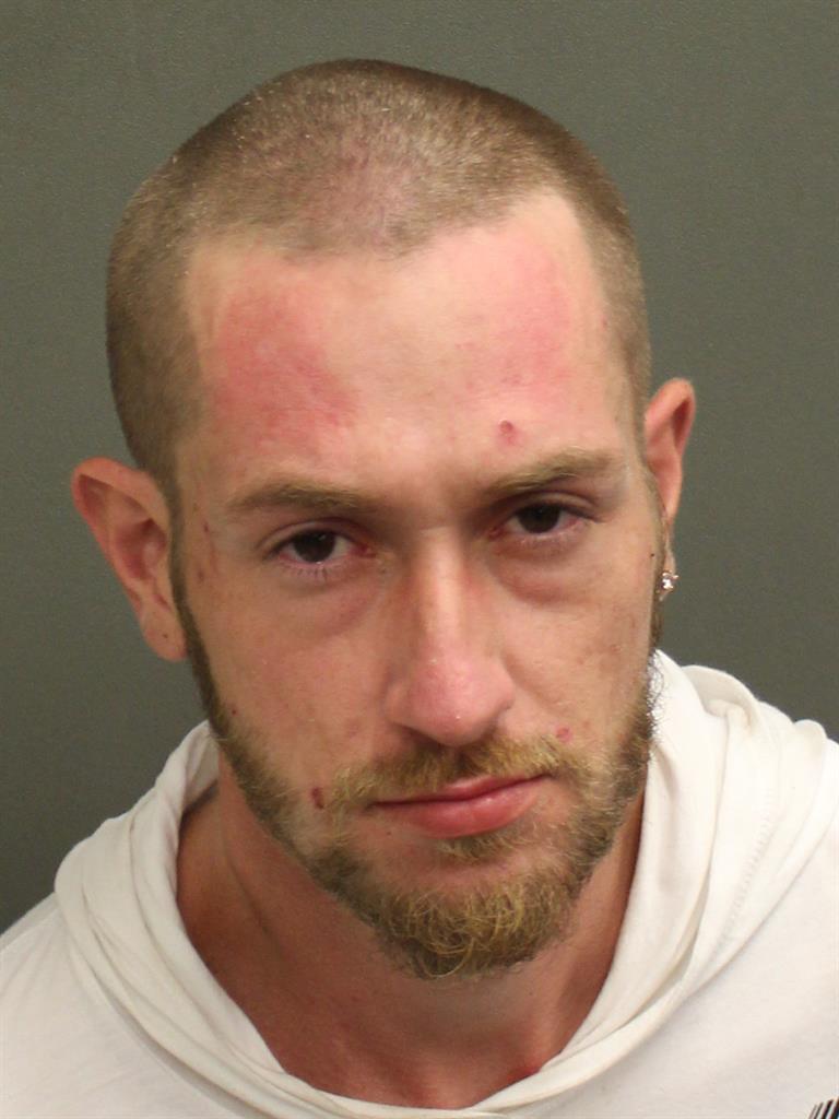  AUSTIN MEADOWS Mugshot / County Arrests / Orange County Arrests