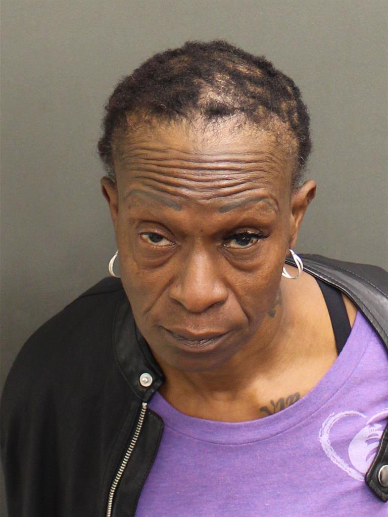  VANESSA TOLBERT Mugshot / County Arrests / Orange County Arrests