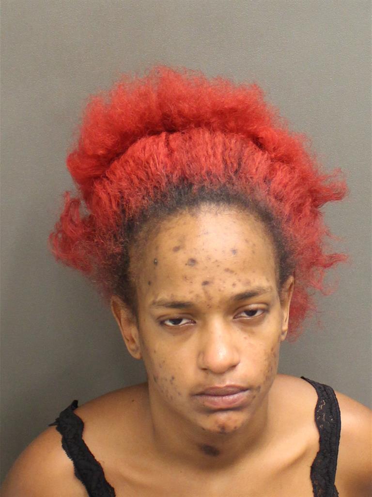  RAMIYA LISA LAROSA JOHNSON Mugshot / County Arrests / Orange County Arrests