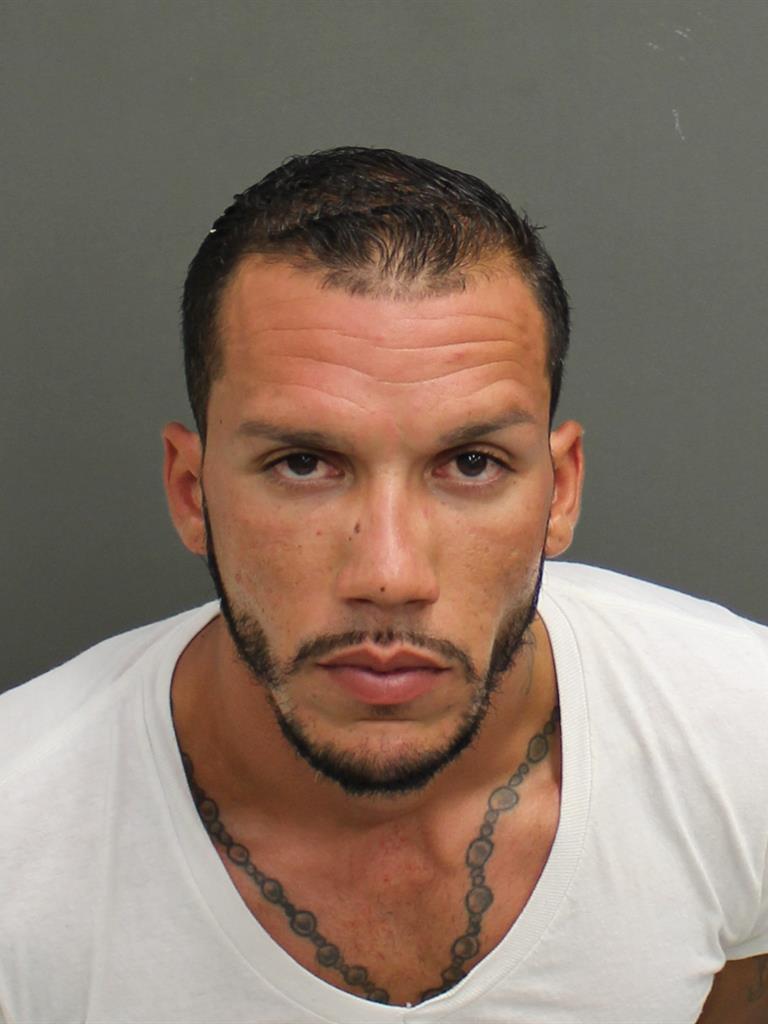  ALEX JOSE JR JR VALLE Mugshot / County Arrests / Orange County Arrests