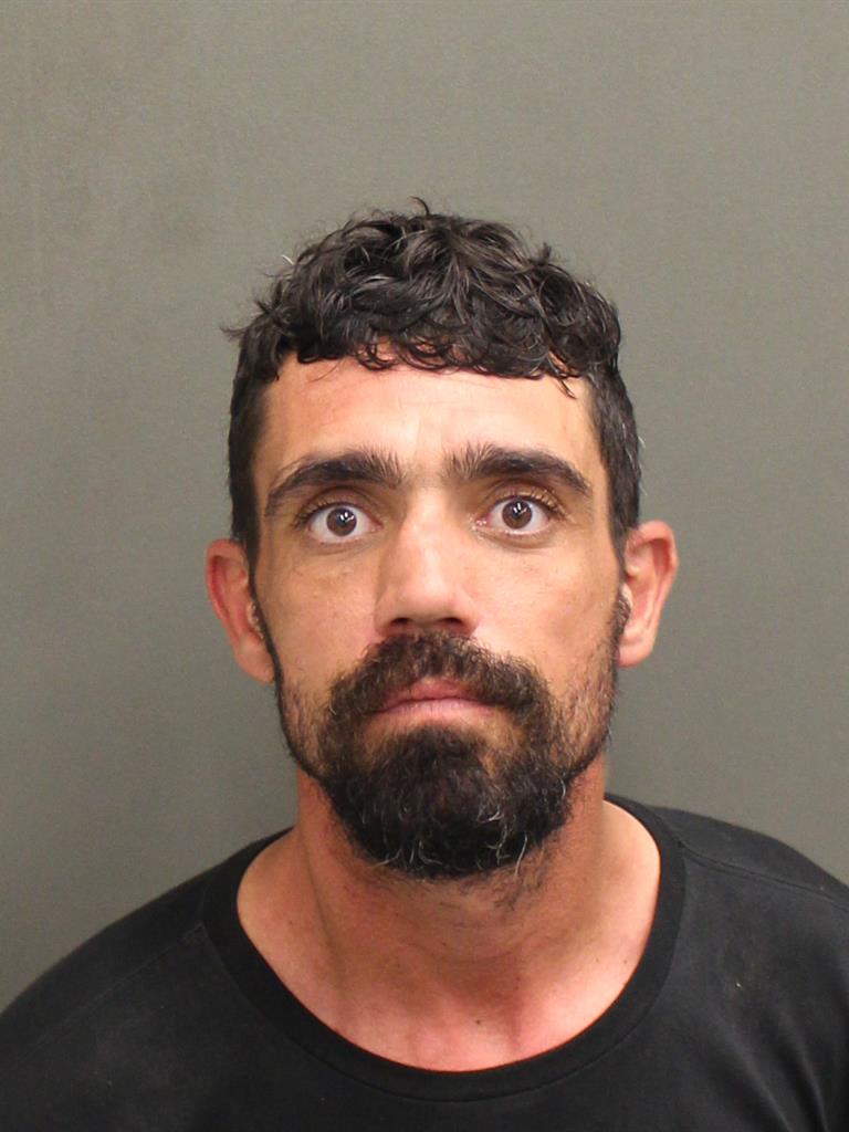 JUSTIN FLYNN Mugshot / County Arrests / Orange County Arrests