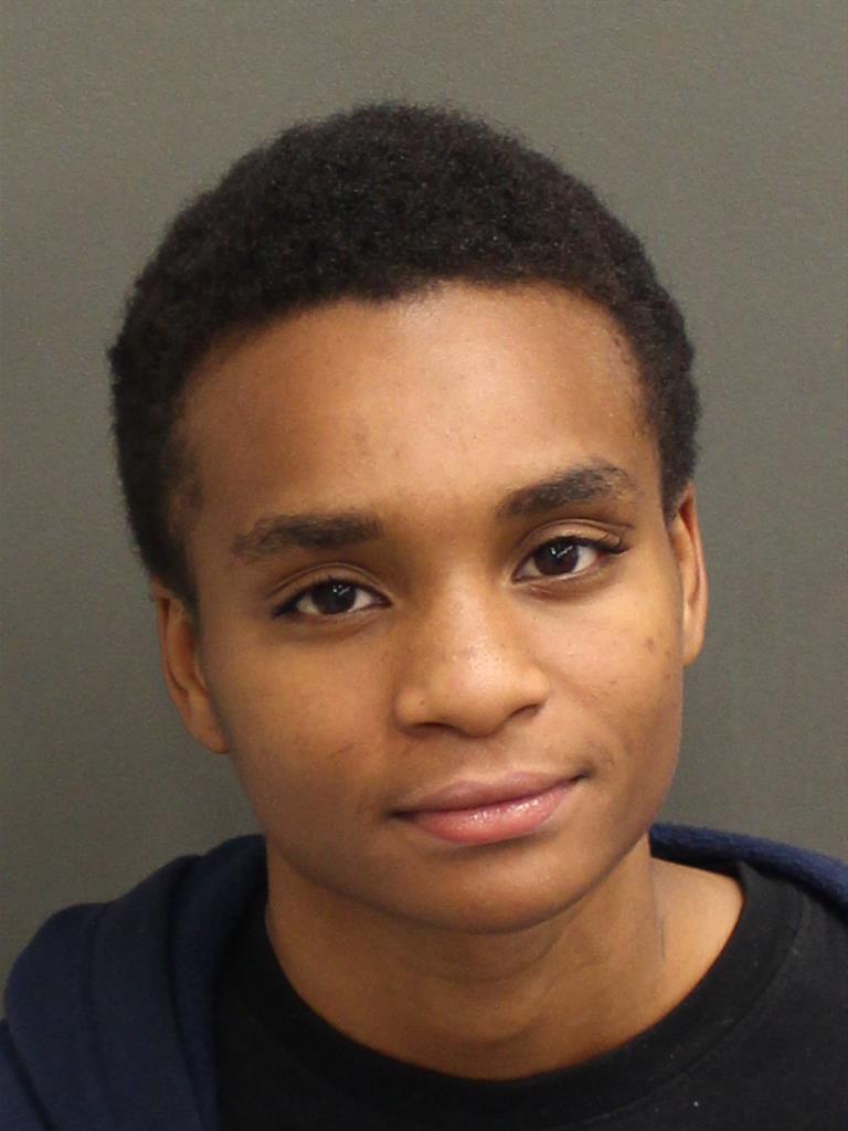  IVY BRIANNA HAMILTON Mugshot / County Arrests / Orange County Arrests