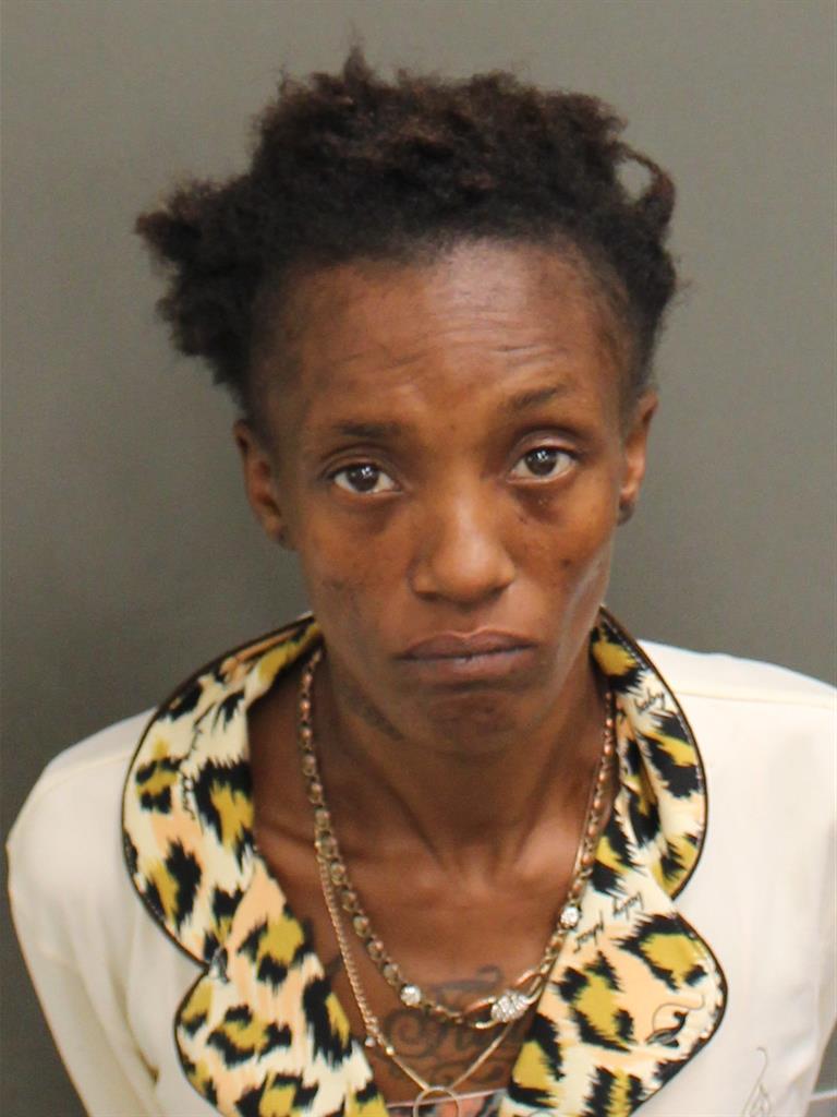  NATISHA CLARK Mugshot / County Arrests / Orange County Arrests