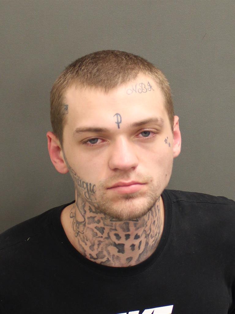  DAVID A MAYSE Mugshot / County Arrests / Orange County Arrests