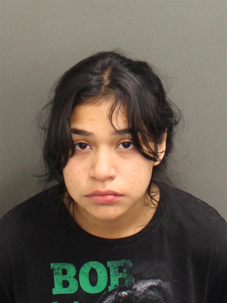  ANA IRENETT CASTRO Mugshot / County Arrests / Orange County Arrests