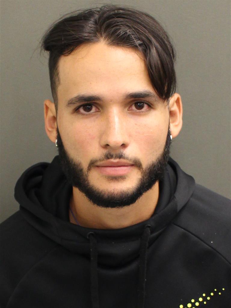  LUIS IGNACIO PIZZANI Mugshot / County Arrests / Orange County Arrests