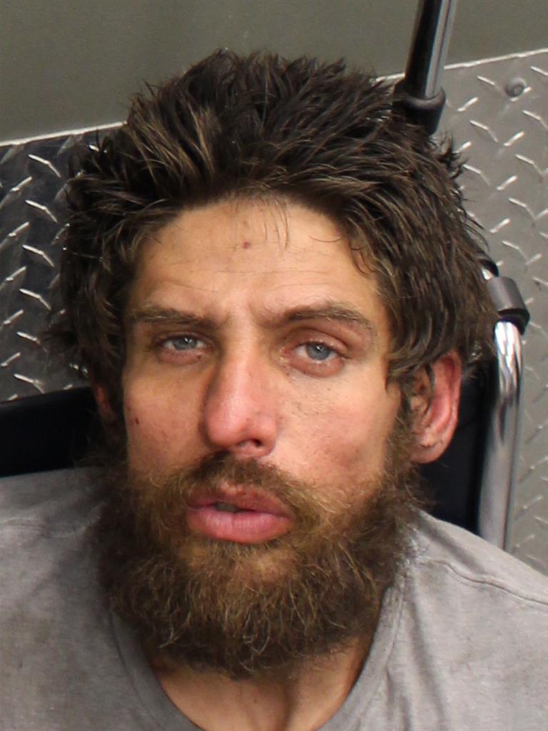  TYLER A FARMER Mugshot / County Arrests / Orange County Arrests