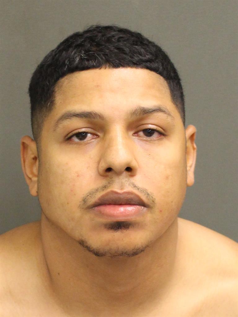  VLADIMIR FERNANDEZ Mugshot / County Arrests / Orange County Arrests