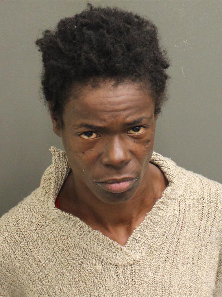  SAKEINAH ALISHA BURGESS Mugshot / County Arrests / Orange County Arrests