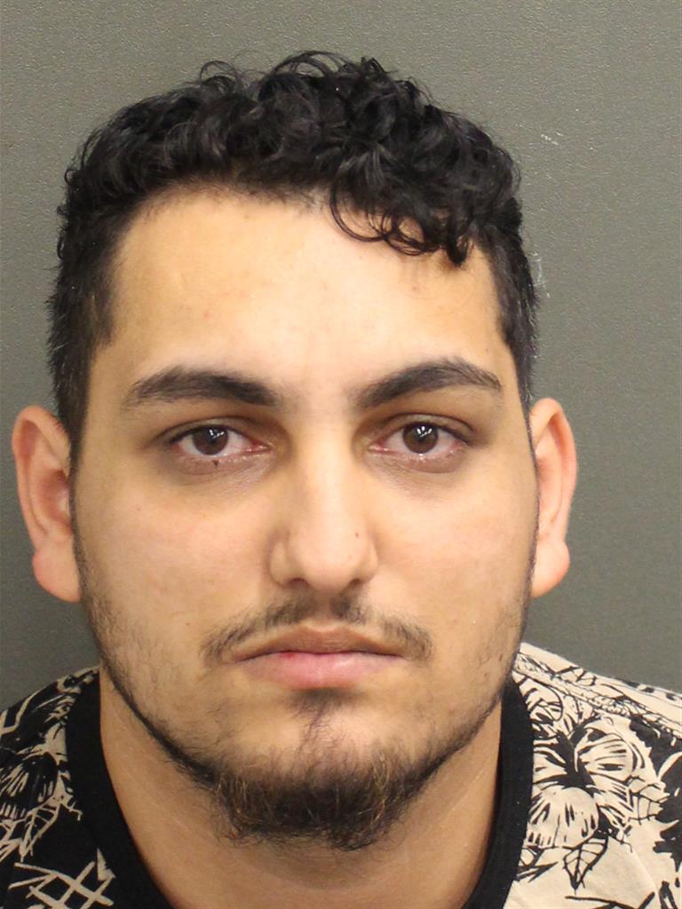  VIOREL HARNA Mugshot / County Arrests / Orange County Arrests