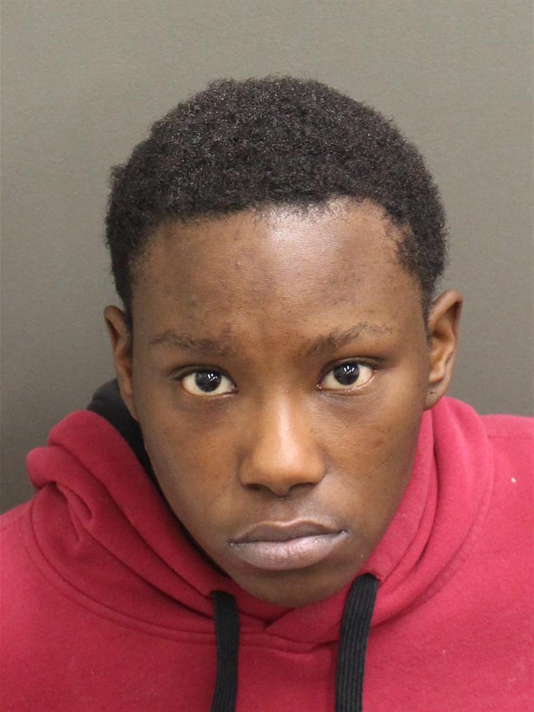  IDA MAE WILLIAMS Mugshot / County Arrests / Orange County Arrests